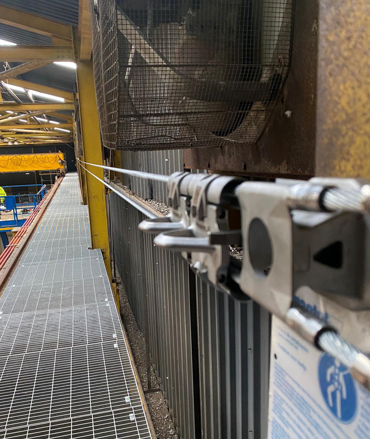 Crane safety line and fall protection system